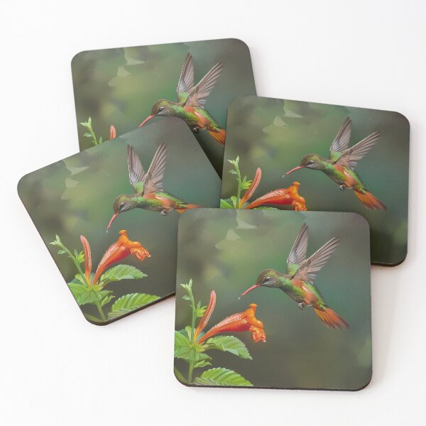 Item preview, Rufous-tailed Hummingbird in Flight designed and sold by LivingArtClips.