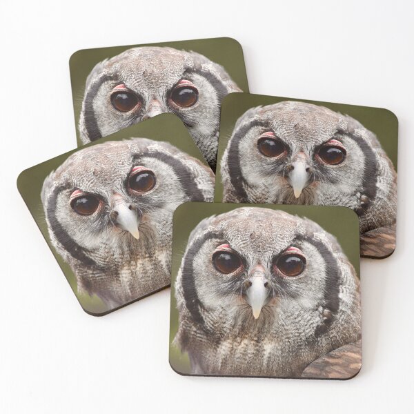 Item preview, Milky Eagle Owl designed and sold by richardbryce.