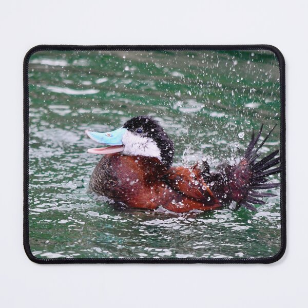 Item preview, Splish Splash Ruddy Duck designed and sold by richardbryce.