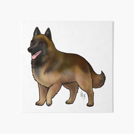Lámina rígida for Sale con la obra «Tervuren belga Caoba y negro
