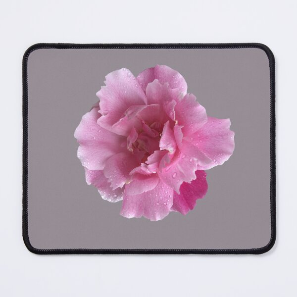 Item preview, Soft Flower, Spring Flower, Blush Pink designed and sold by suekieper.