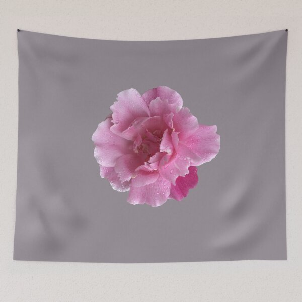 Item preview, Soft Flower, Spring Flower, Blush Pink designed and sold by suekieper.