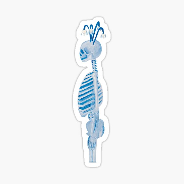 Floral Skeleton (Hand Painted Design) - Gracyn Blu Louis Music Cover Art Sticker