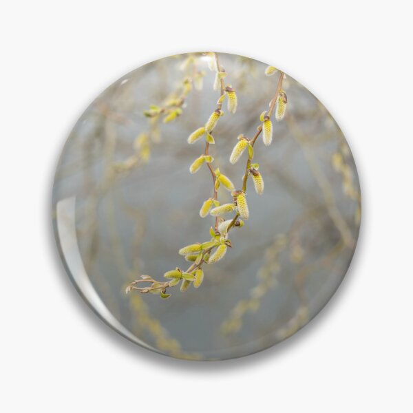 Item preview, Golden Yellow Willow Catkins Harbingers of Spring designed and sold by Georgia Mizuleva.