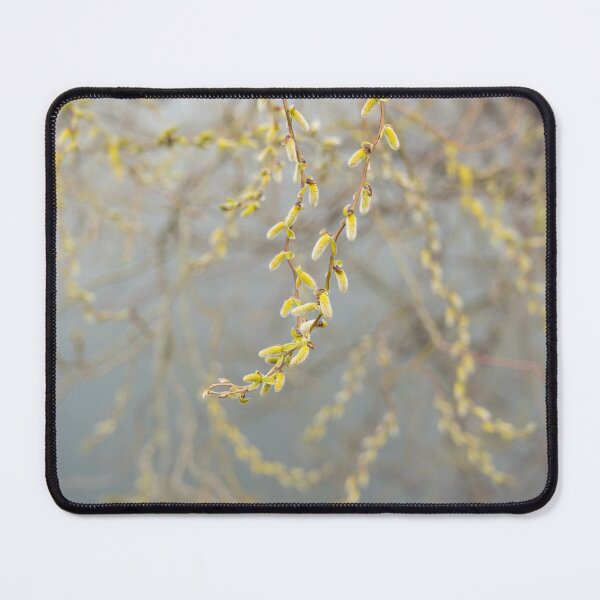 Item preview, Golden Yellow Willow Catkins Harbingers of Spring designed and sold by Georgia Mizuleva.