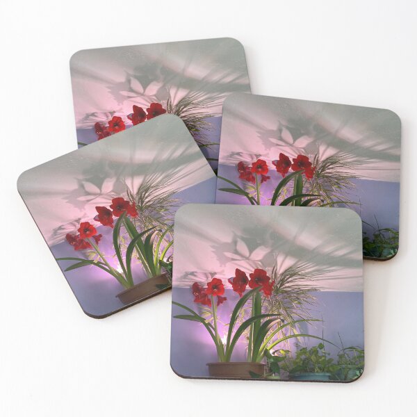 Item preview, Houseplants  designed and sold by Amanda1775.