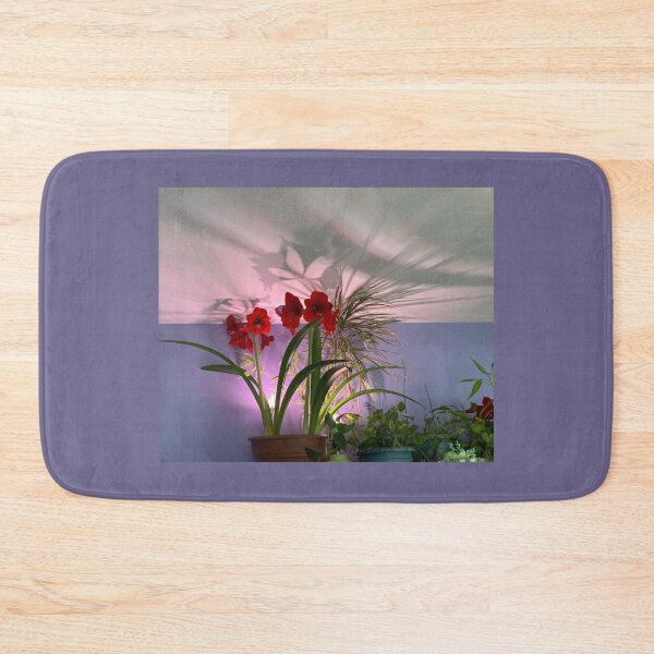 Item preview, Houseplants  designed and sold by Amanda1775.
