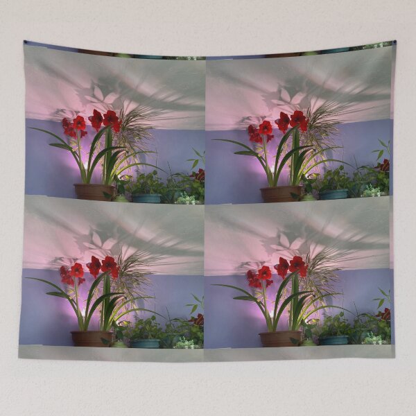 Item preview, Houseplants  designed and sold by Amanda1775.