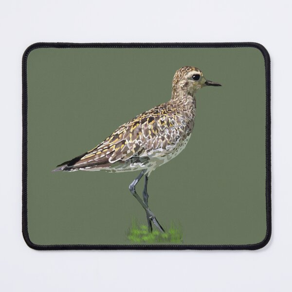 Item preview, Kolea, Pacific Golden Plover designed and sold by NJartbyNJacobson.