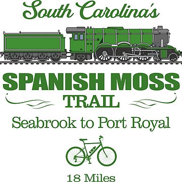 Artwork thumbnail, Spanish Moss Trail (RT2) by curranmorgan