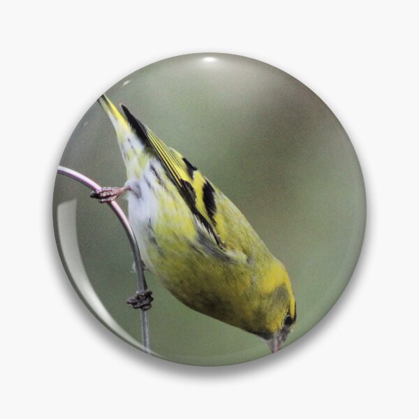 Item preview, siskin designed and sold by KathleenDawson.