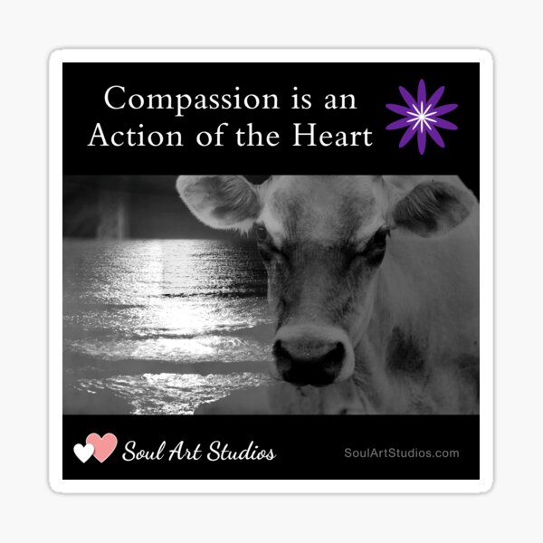 Compassion is an Action of the Heart Sticker