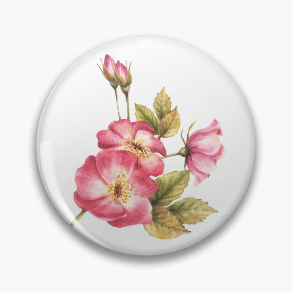 Item preview, Watercolor wild rose hip branch with buds and flower. Hand drawn brier or dog rose. designed and sold by BartolArt.
