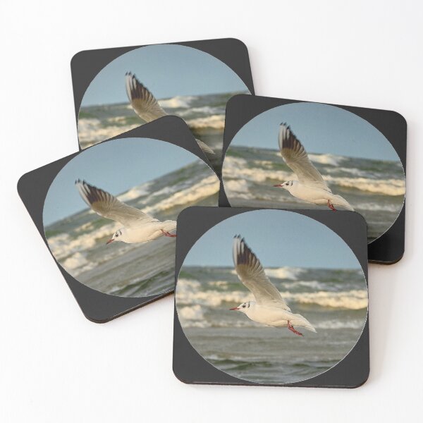 Aperçu de l'œuvre Mouette blanche de bord de mer créée et vendue par ThomasFoto.