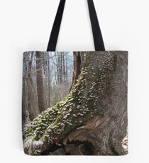 Adage Tote Bag