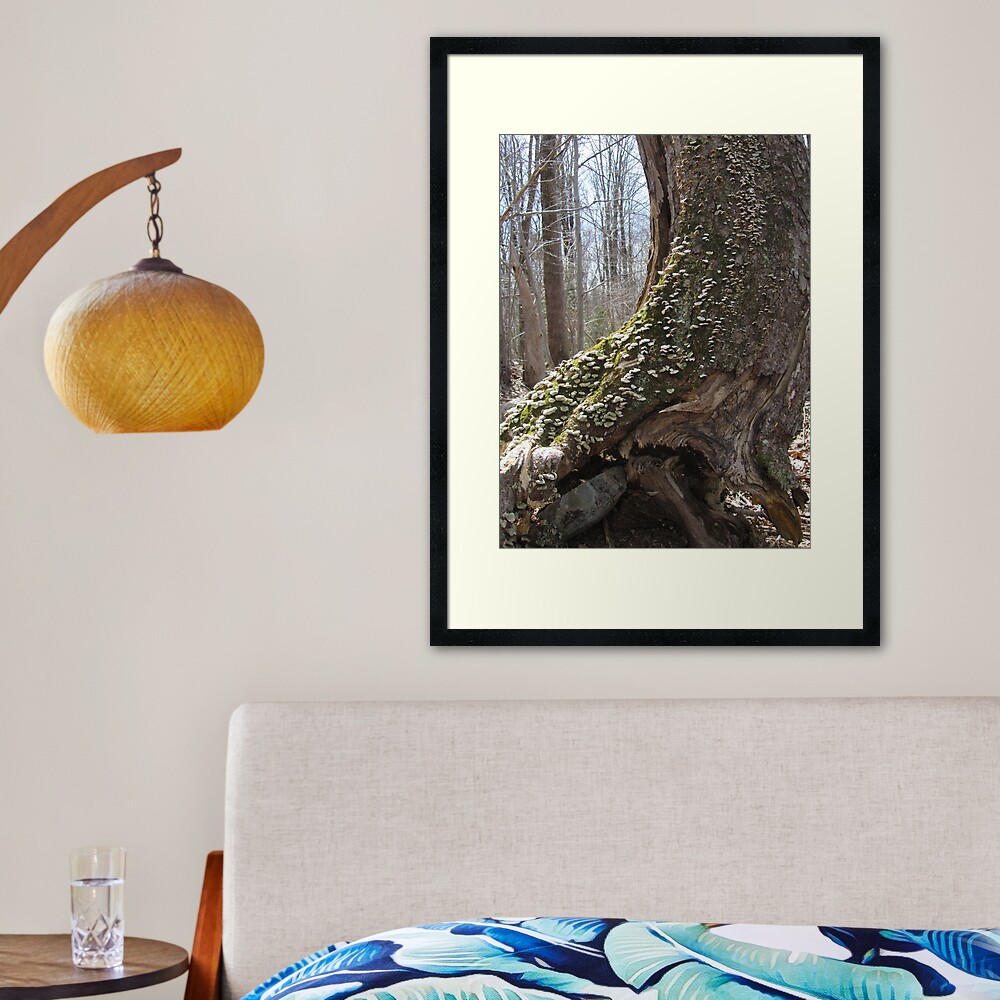 Adage Framed Art Print