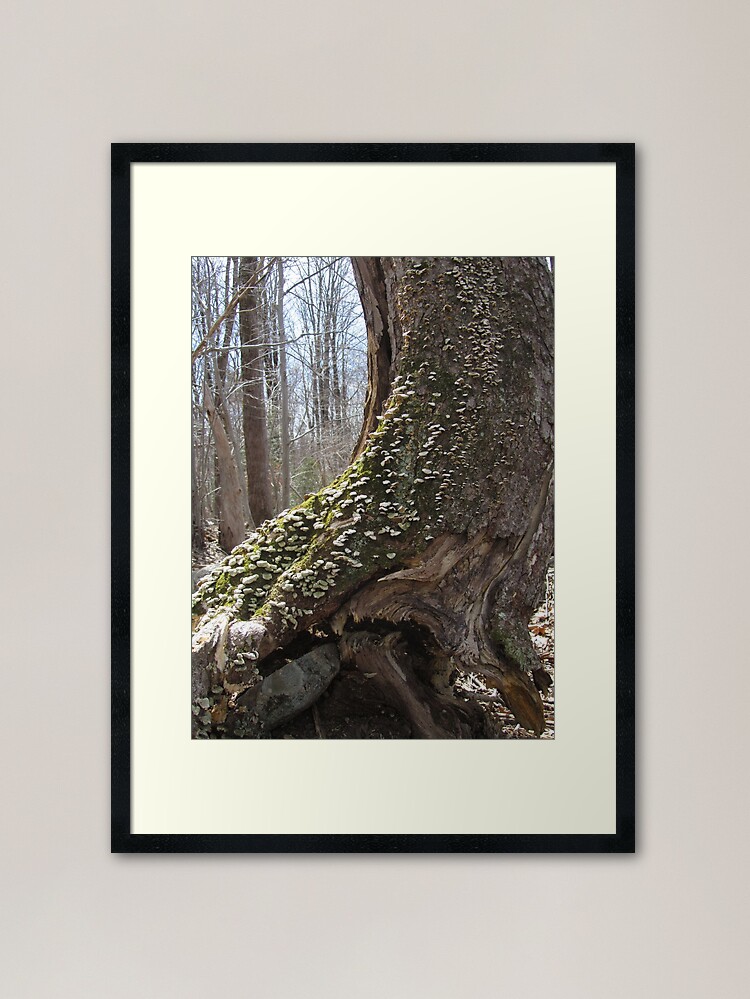 Alternate view of Adage Framed Art Print