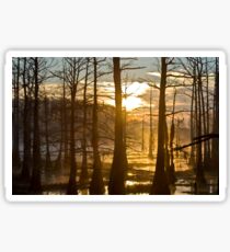 Bayou Awakening Sticker