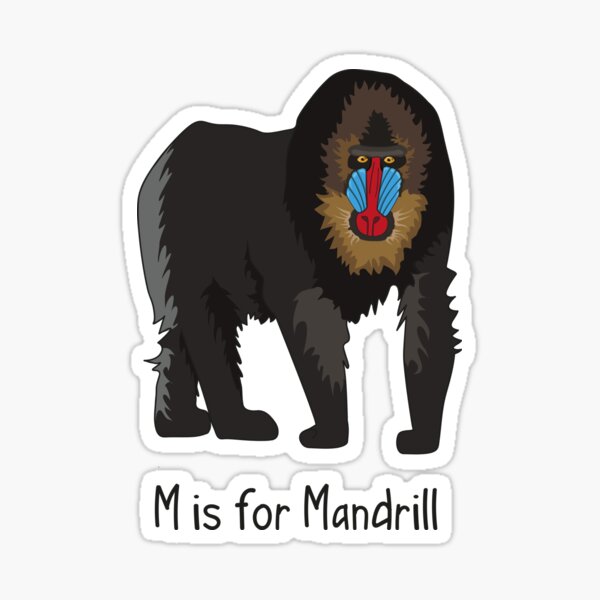 M is for Mandrill Sticker