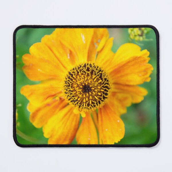 Item preview, Pollination designed and sold by DJChizzlesworth.