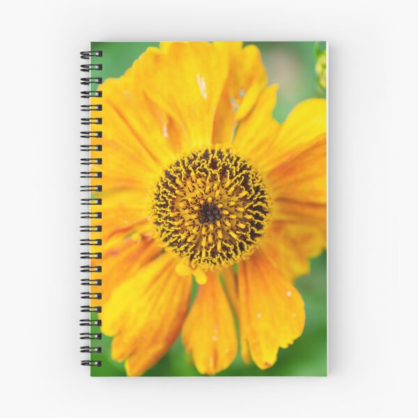 Item preview, Pollination designed and sold by DJChizzlesworth.