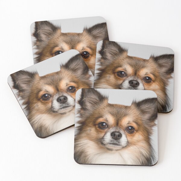 Item preview, Portrait of Long Haired Chihuahua Dog designed and sold by VanGaldo.