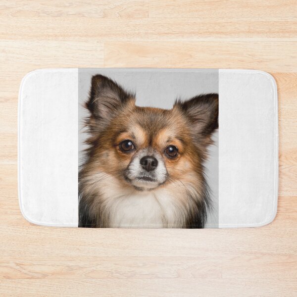Item preview, Portrait of Long Haired Chihuahua Dog designed and sold by VanGaldo.