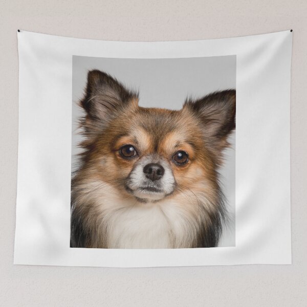 Item preview, Portrait of Long Haired Chihuahua Dog designed and sold by VanGaldo.