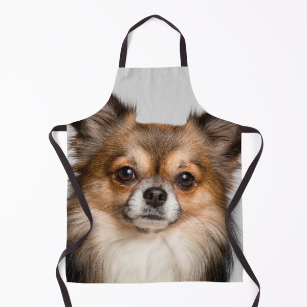 Item preview, Portrait of Long Haired Chihuahua Dog designed and sold by VanGaldo.
