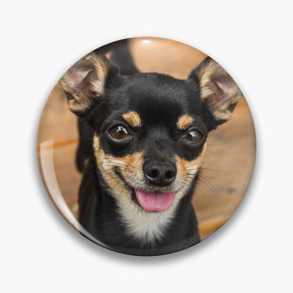 Item preview, Cute Black Chihuahua Dog designed and sold by VanGaldo.