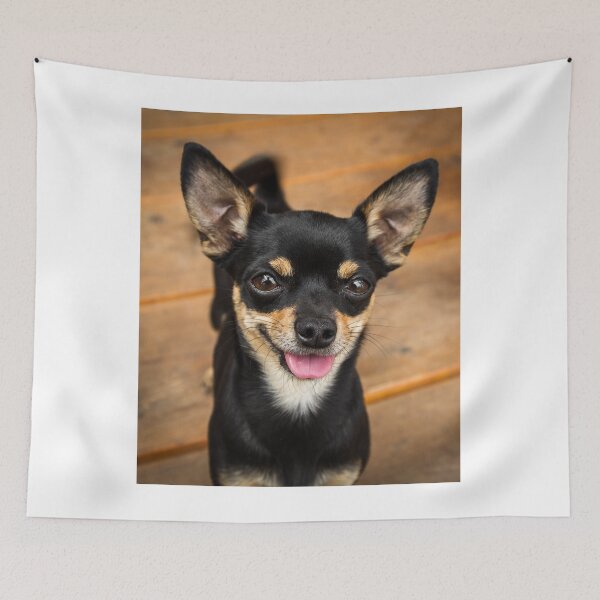 Item preview, Cute Black Chihuahua Dog designed and sold by VanGaldo.