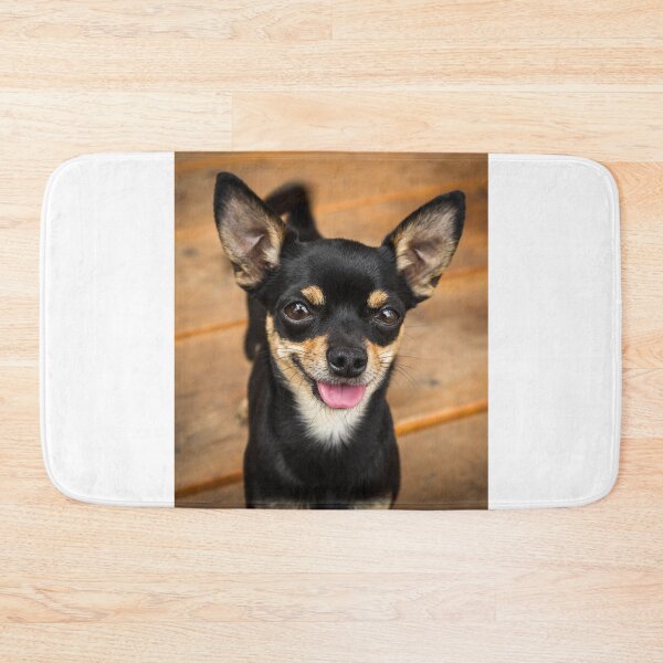 Item preview, Cute Black Chihuahua Dog designed and sold by VanGaldo.