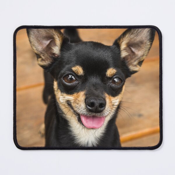 Item preview, Cute Black Chihuahua Dog designed and sold by VanGaldo.