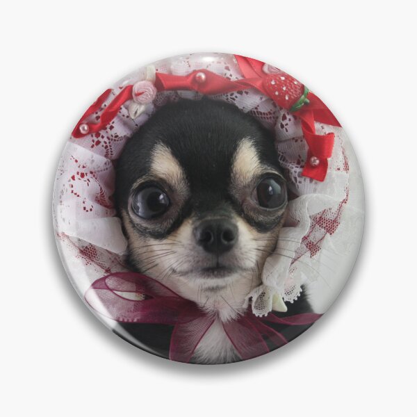 Item preview, Black Chihuahua Dog Wearing Head Dress Costume designed and sold by VanGaldo.