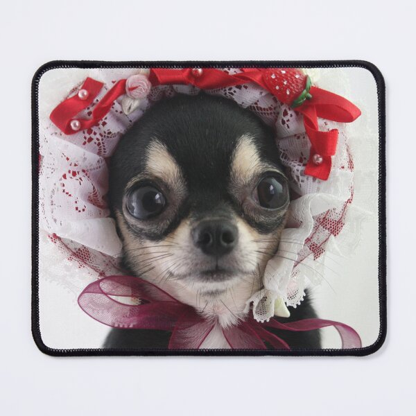 Item preview, Black Chihuahua Dog Wearing Head Dress Costume designed and sold by VanGaldo.