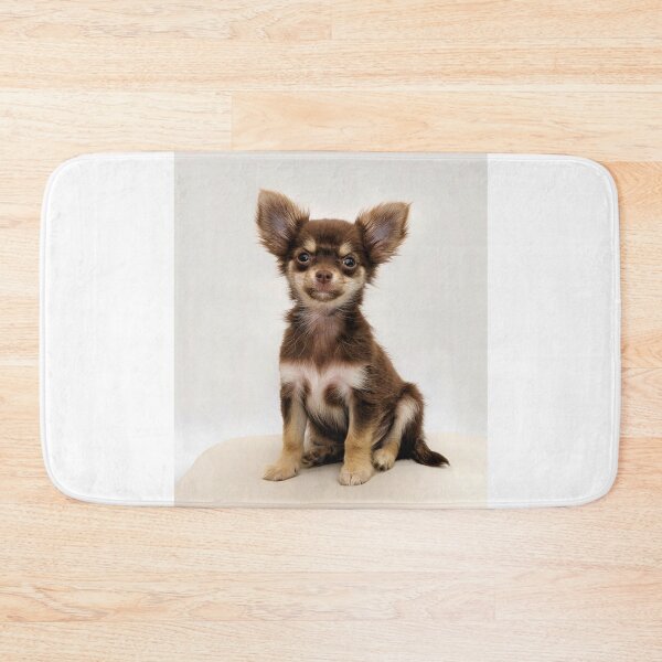 Item preview, Cute Brown Chihuahua Puppy designed and sold by VanGaldo.