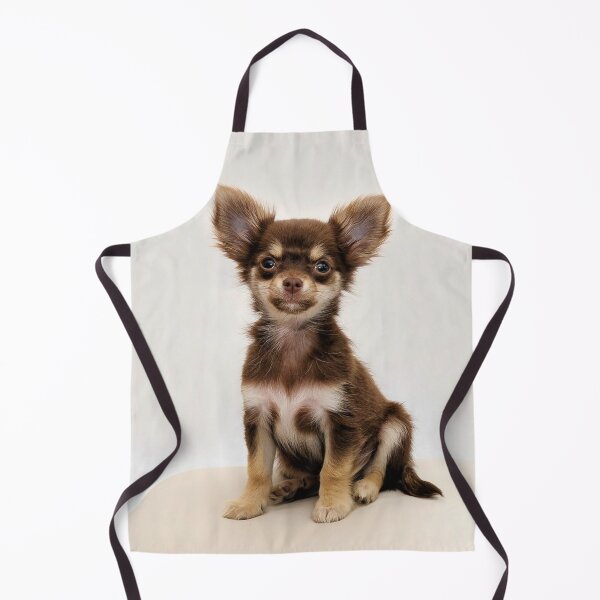 Item preview, Cute Brown Chihuahua Puppy designed and sold by VanGaldo.