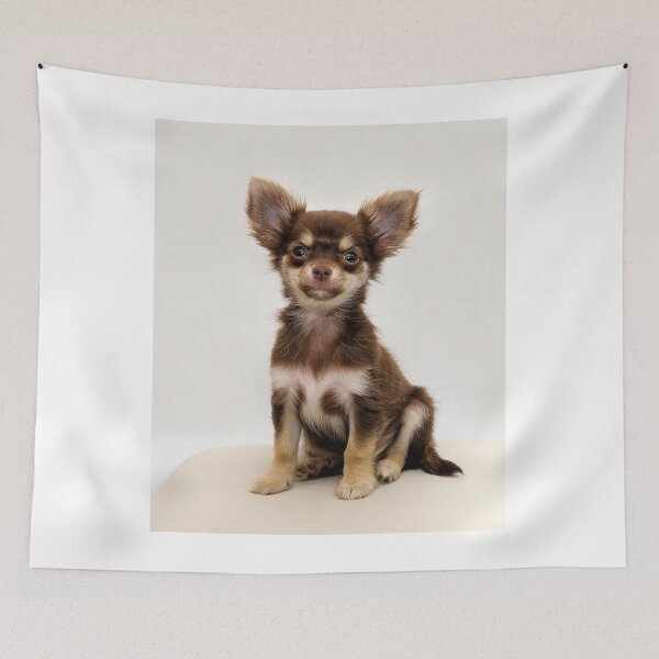 Item preview, Cute Brown Chihuahua Puppy designed and sold by VanGaldo.