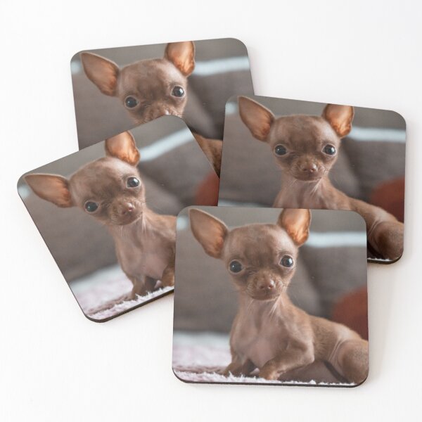 Item preview, Lovely Brown Chihuahua Puppy designed and sold by VanGaldo.