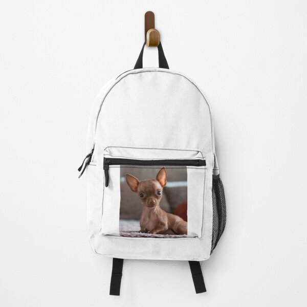 Item preview, Lovely Brown Chihuahua Puppy designed and sold by VanGaldo.