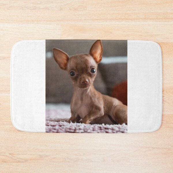 Item preview, Lovely Brown Chihuahua Puppy designed and sold by VanGaldo.