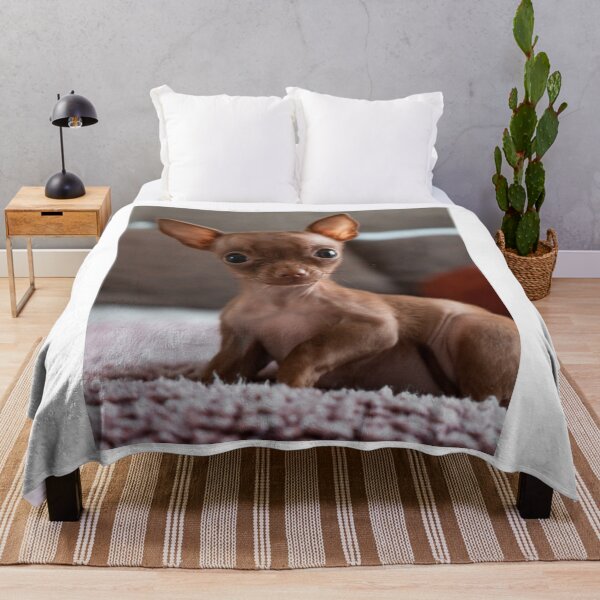 Item preview, Lovely Brown Chihuahua Puppy designed and sold by VanGaldo.