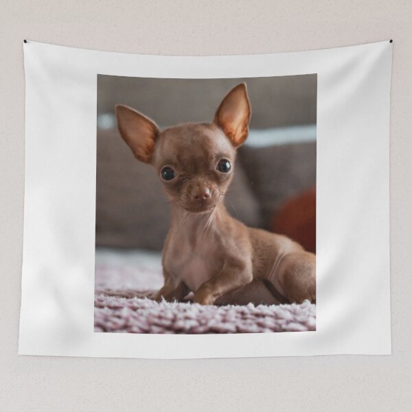 Item preview, Lovely Brown Chihuahua Puppy designed and sold by VanGaldo.