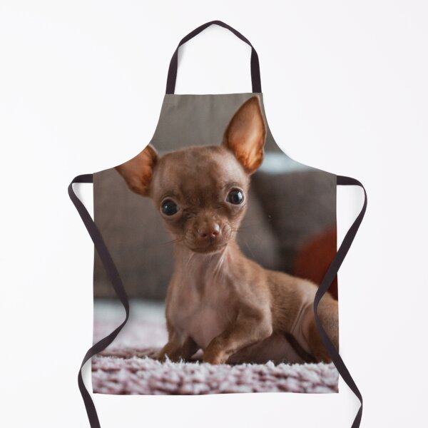 Item preview, Lovely Brown Chihuahua Puppy designed and sold by VanGaldo.