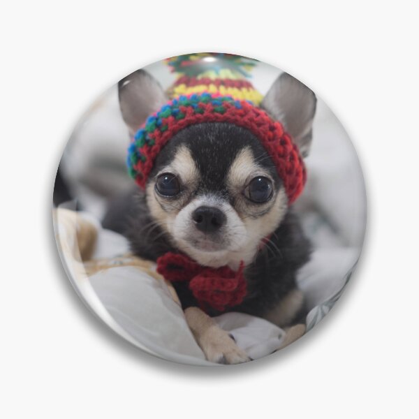 Item preview, Chihuahua Puppy Wearing Colorful Beanie designed and sold by VanGaldo.