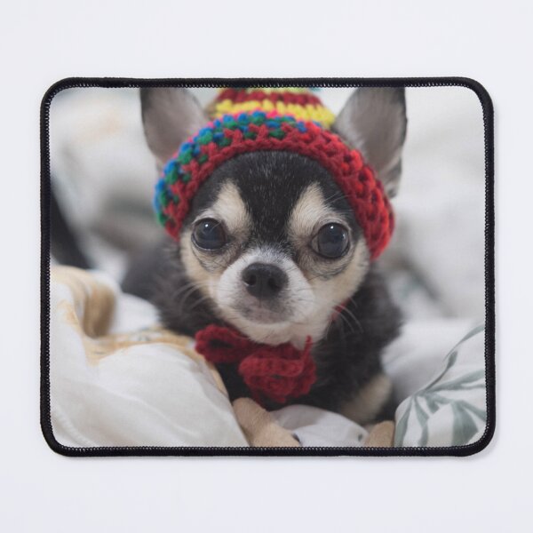 Item preview, Chihuahua Puppy Wearing Colorful Beanie designed and sold by VanGaldo.