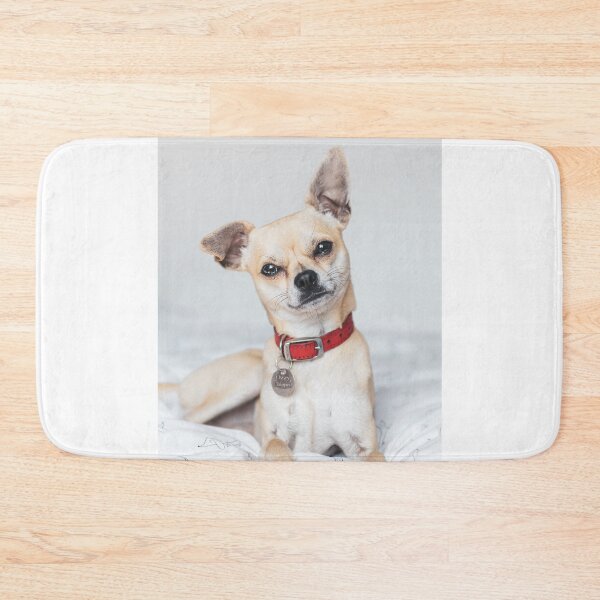Item preview, Relaxing Chihuahua Dog designed and sold by VanGaldo.