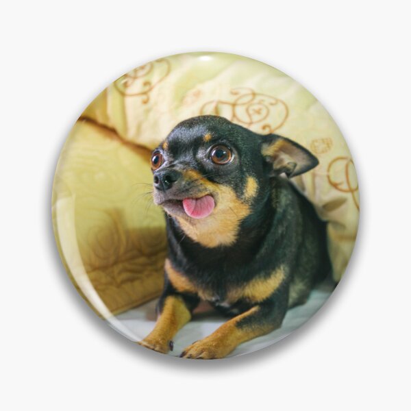 Item preview, Funny Looking Chihuahua Dog designed and sold by VanGaldo.