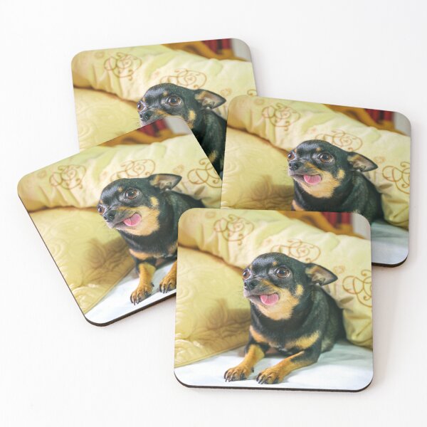 Item preview, Funny Looking Chihuahua Dog designed and sold by VanGaldo.
