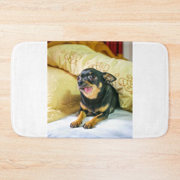 Item preview, Funny Looking Chihuahua Dog designed and sold by VanGaldo.